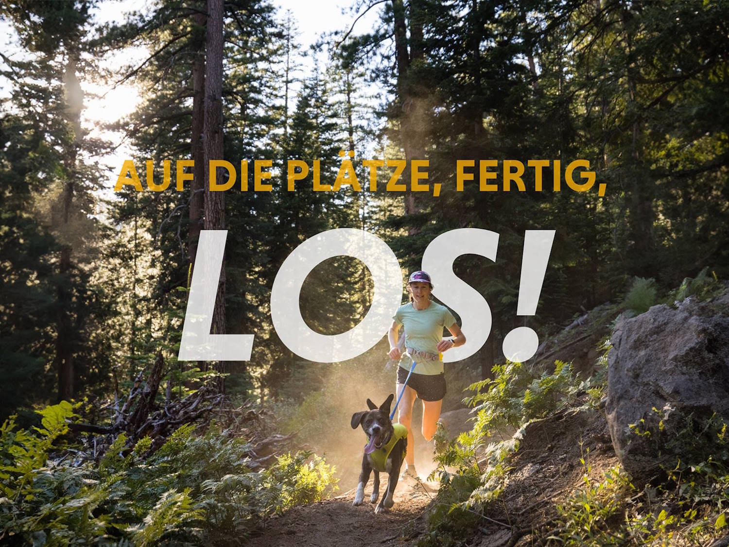 Laufen mit Hund? Das geht!